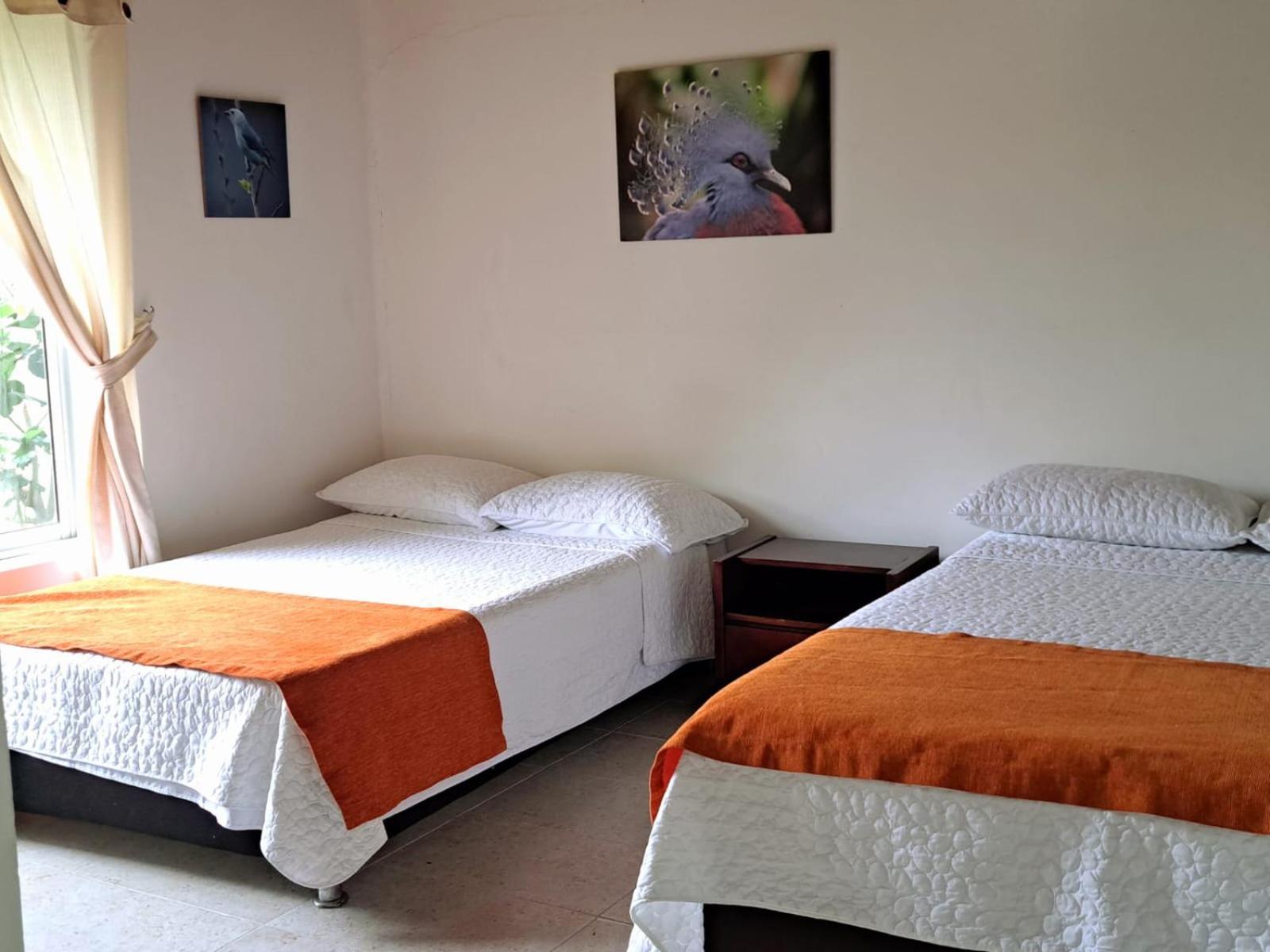 Iraka Campestre Quindio * La Tebaida