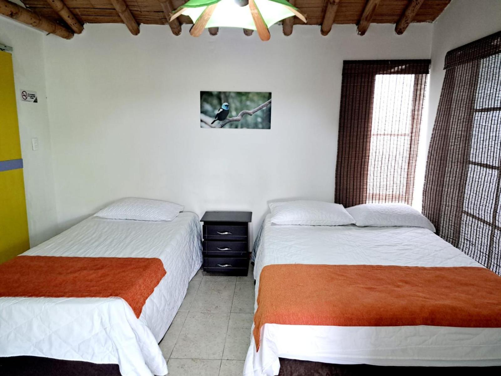 Iraka Campestre Quindio