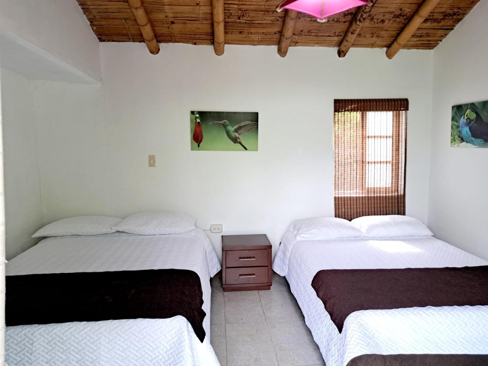 Iraka Campestre Quindio * La Tebaida