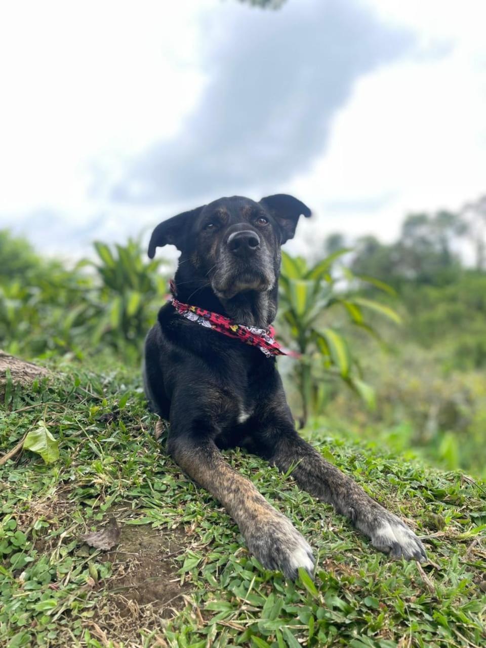 Iraka Campestre Quindio